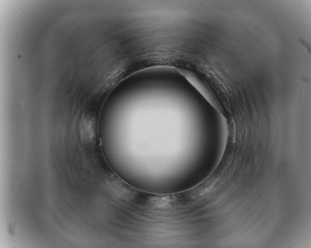 X0000091170131200708161506