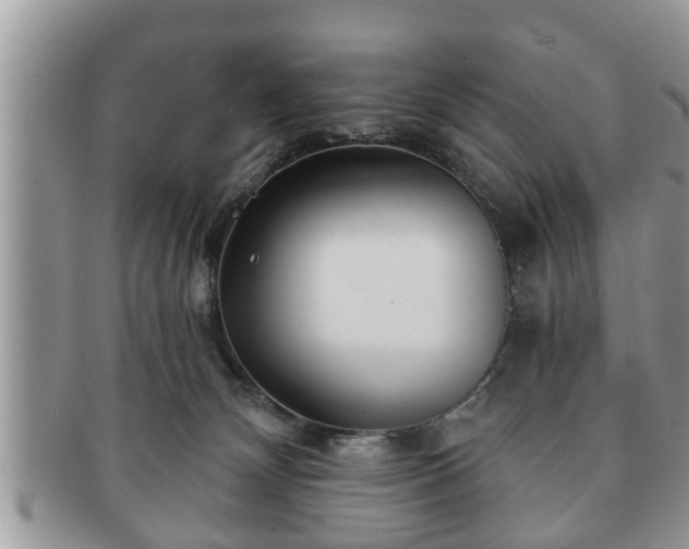 X0000091170132200708161506