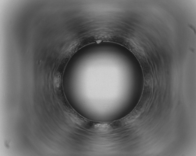 X0000091170133200708161506