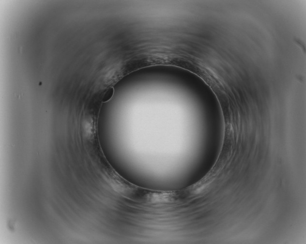 X0000091170134200708161506