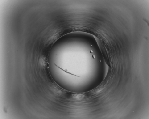 X0000091170135200708161506