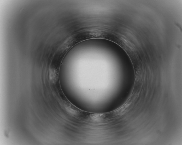 X0000091170136200708161506