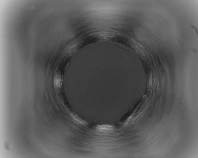 X0000091170137200708161506