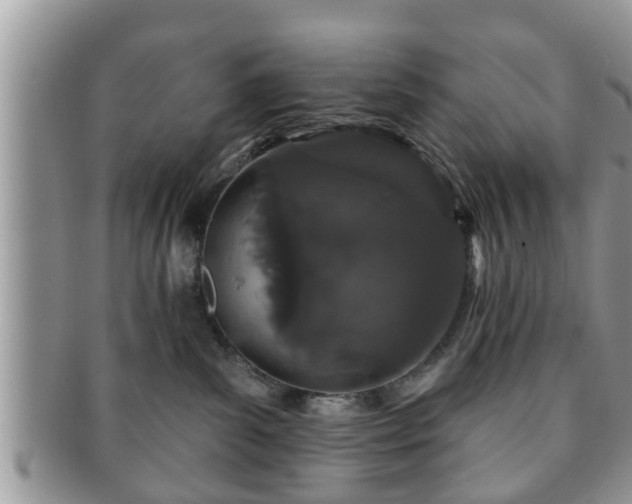 X0000091170139200708161506