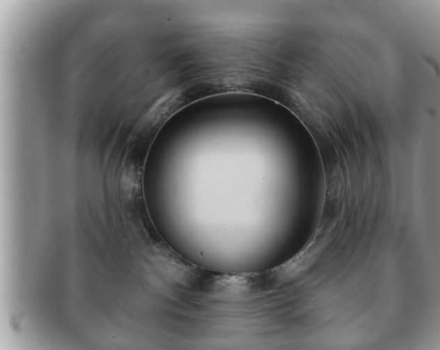 X0000091170140200708161506