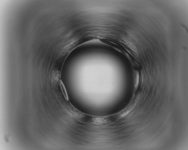 X0000091170141200708161506