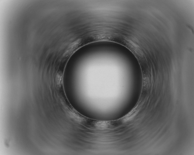 X0000091170142200708161506