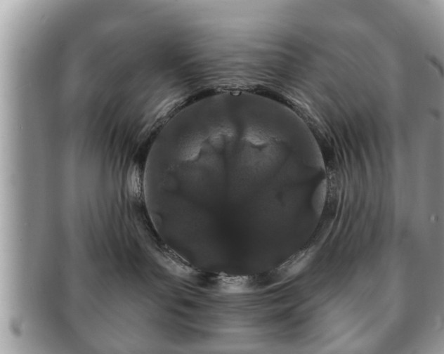 X0000091170143200708161506