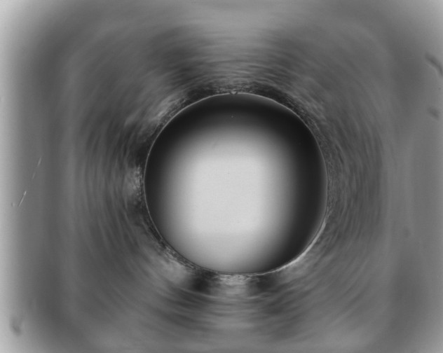 X0000091170144200708161506