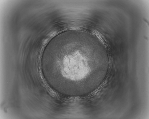 X0000091170145200708161505