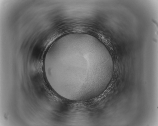 X0000091170146200708161505