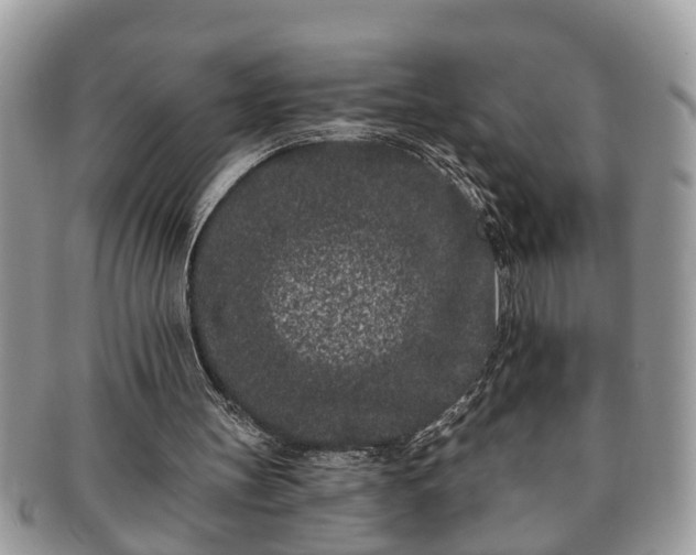 X0000091170147200708161505