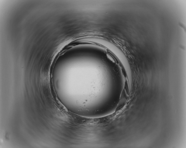 X0000091170148200708161505