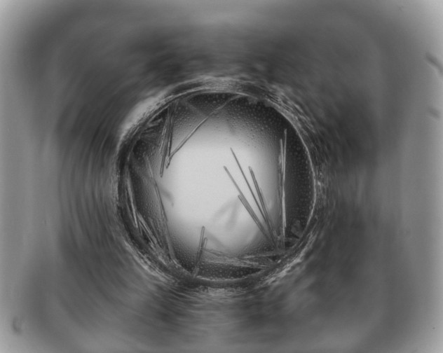 X0000091170149200708161505