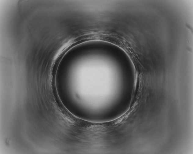 X0000091170150200708161505