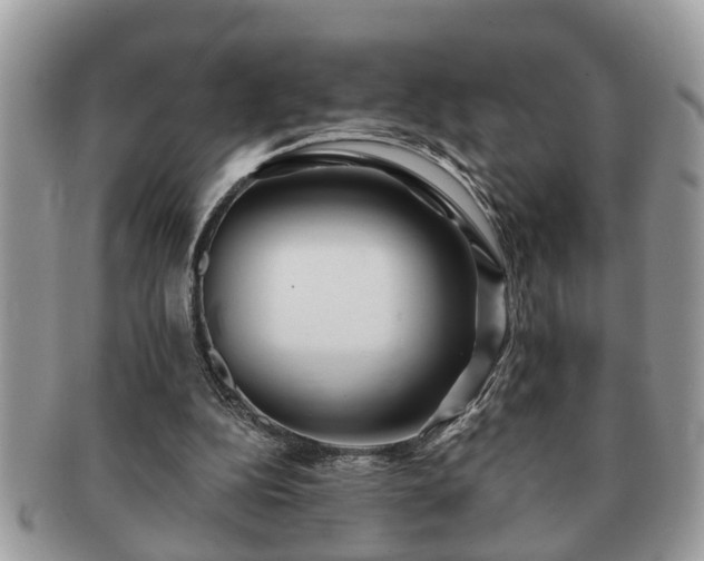 X0000091170152200708161505