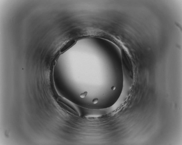 X0000091170154200708161505