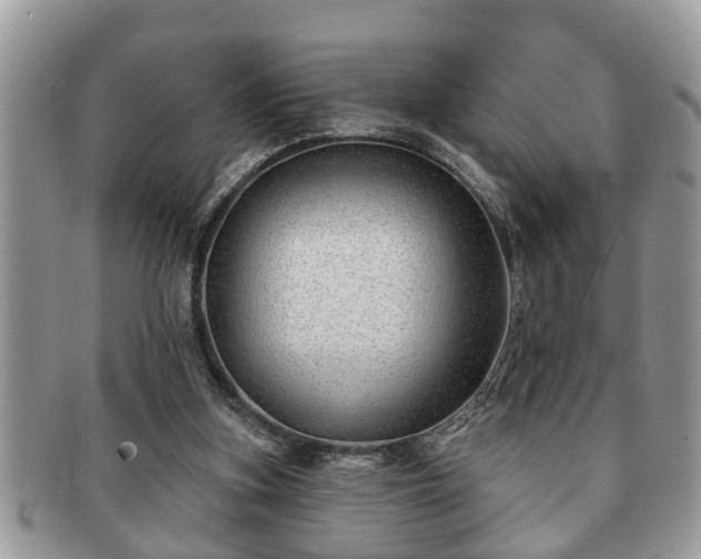 X0000091170155200708161505