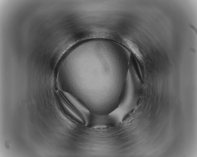 X0000091170156200708161505