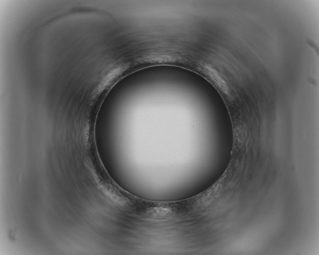 X0000091170159200708161505