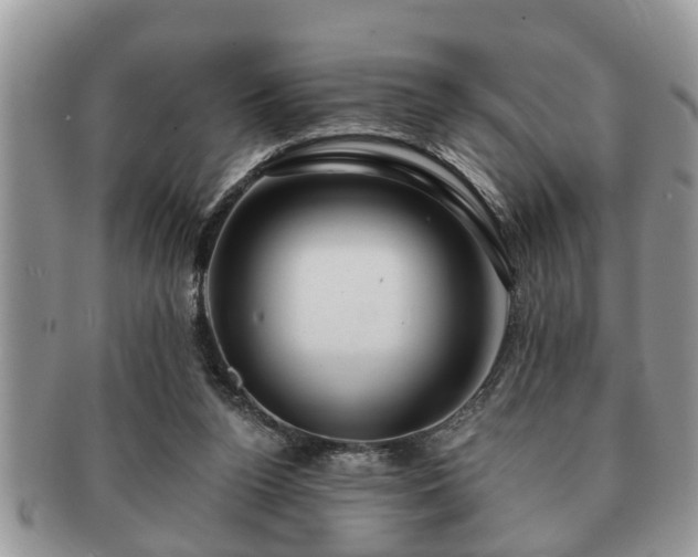 X0000091170160200708161505