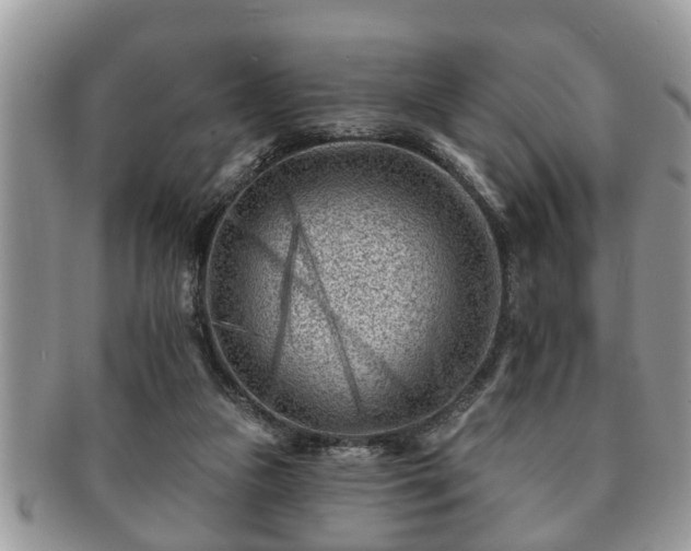 X0000091170161200708161505