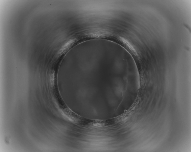 X0000091170163200708161505