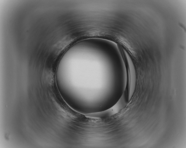 X0000091170164200708161505