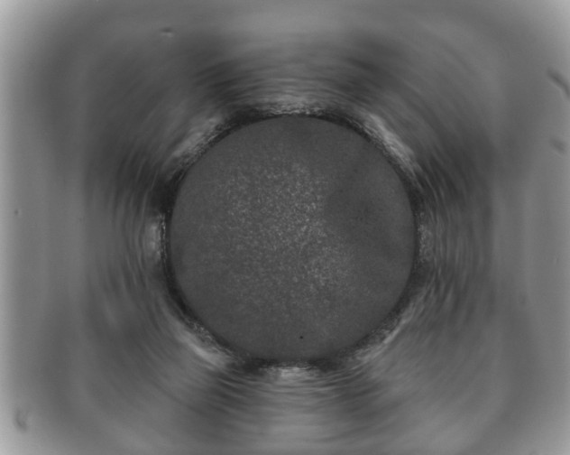 X0000091170165200708161505