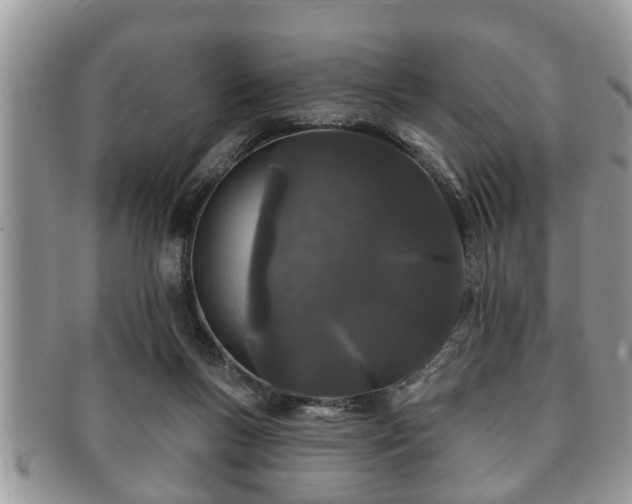 X0000091170167200708161505