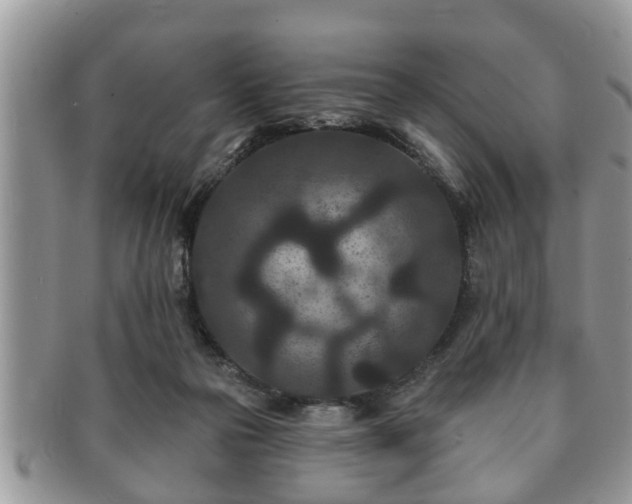 X0000091170169200708161505