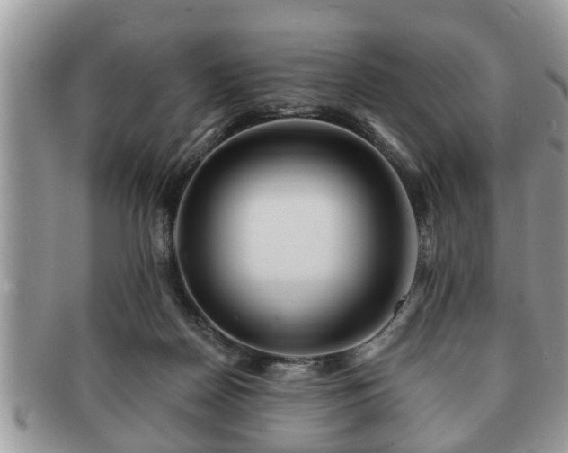 X0000091170170200708161505