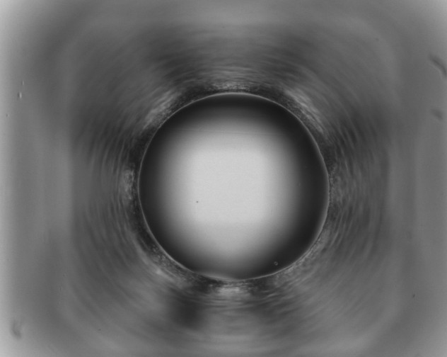 X0000091170171200708161505