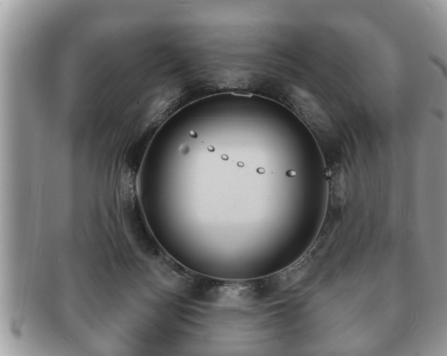 X0000091170172200708161505