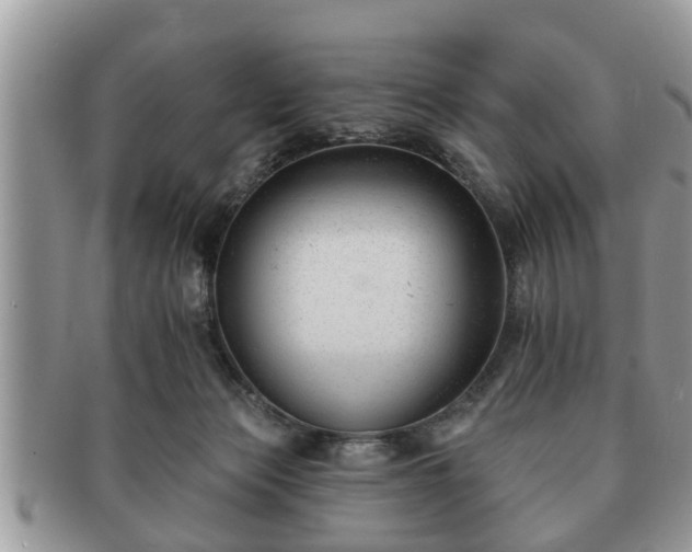 X0000091170173200708161505