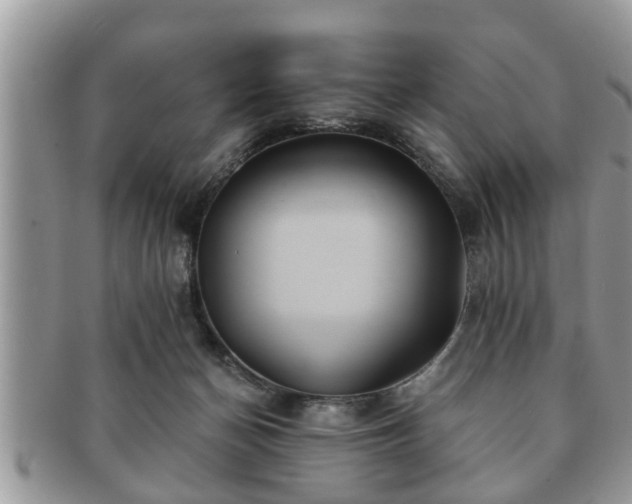 X0000091170174200708161505