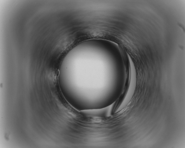 X0000091170176200708161505