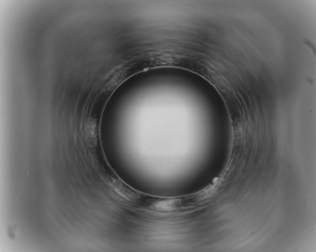 X0000091170178200708161505