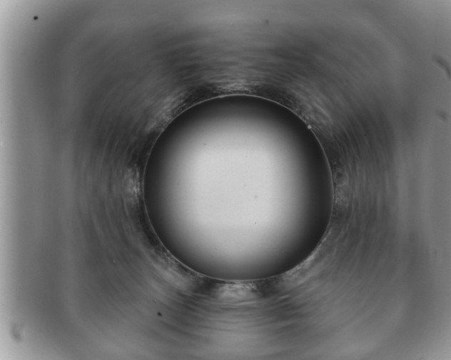 X0000091170179200708161505