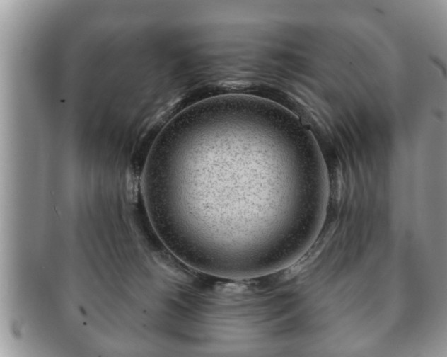 X0000091170180200708161505