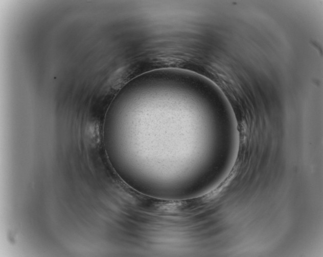 X0000091170182200708161505