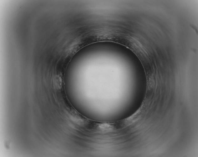 X0000091170183200708161505