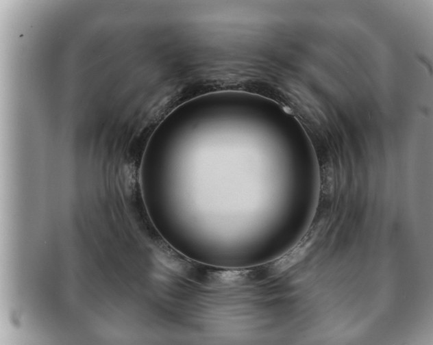 X0000091170184200708161505