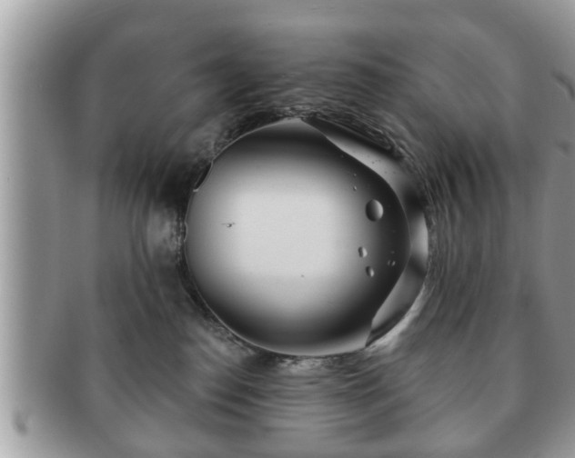 X0000091170186200708161505