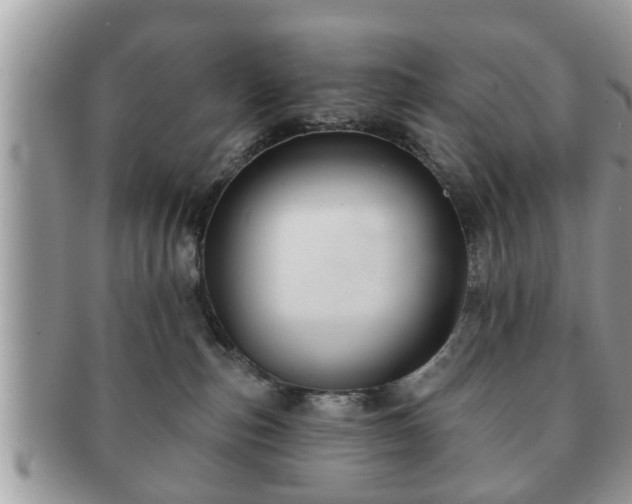 X0000091170187200708161506