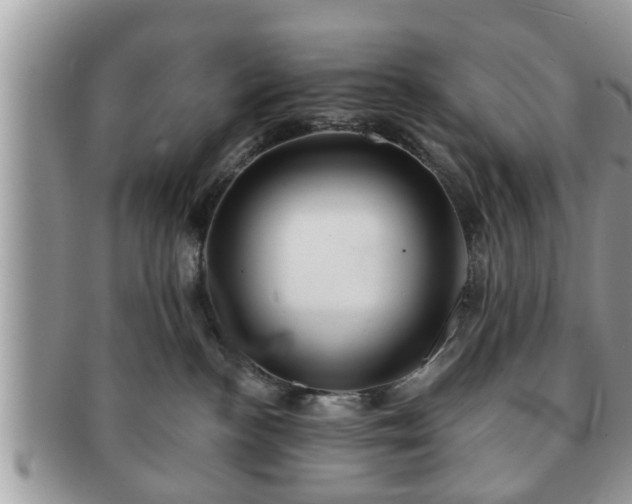 X0000091170188200708161506