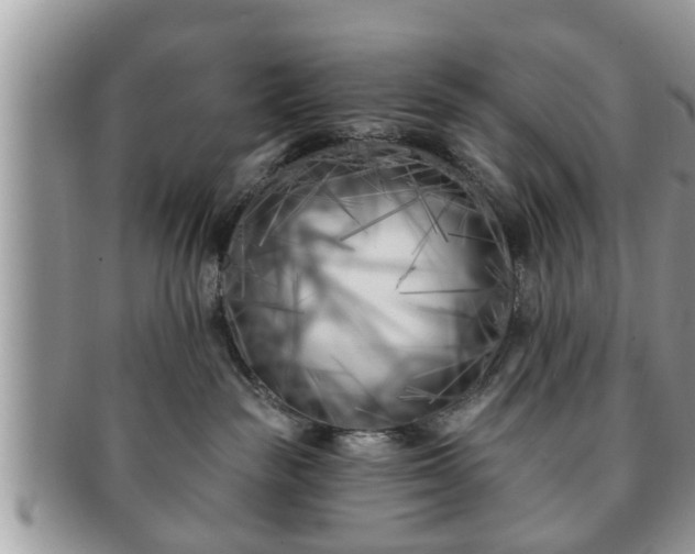 X0000091170189200708161506