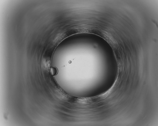 X0000091170190200708161506