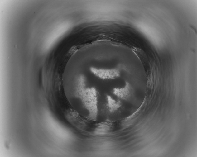 X0000091170191200708161506