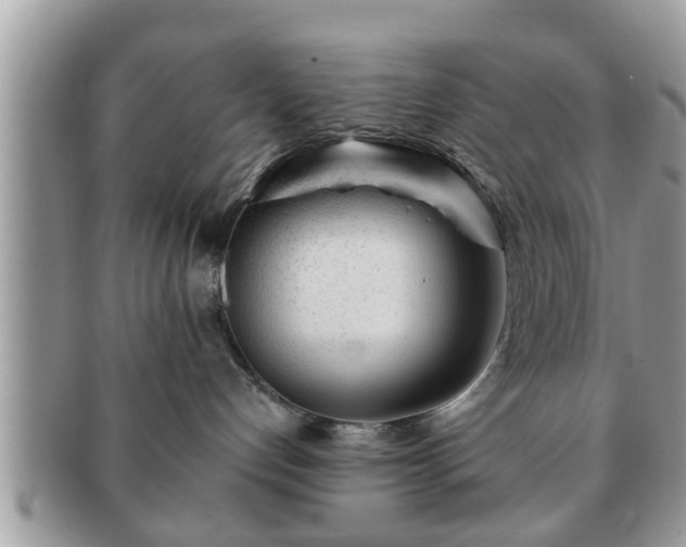 X0000091170192200708161506